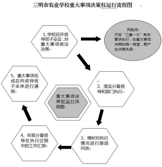 乐竞(中国)重大事项决策权运行流程图.JPG